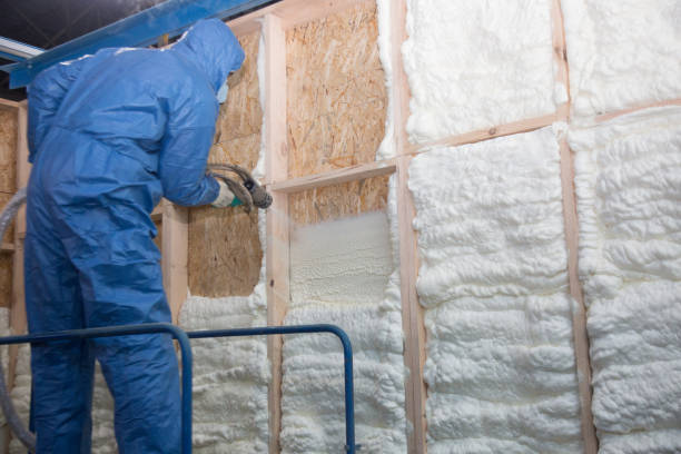 Best Blown-In Insulation  in Minden, NV